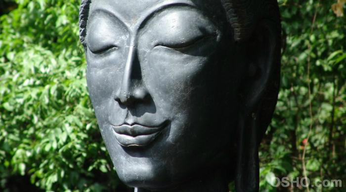 OSHO A Cup of Tea 英語版 OSHO A Cup of Tea 英語版 Take time to